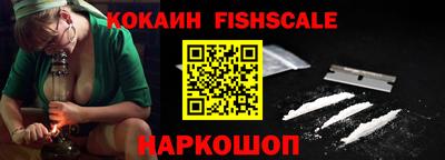 МДПВ Камышлов