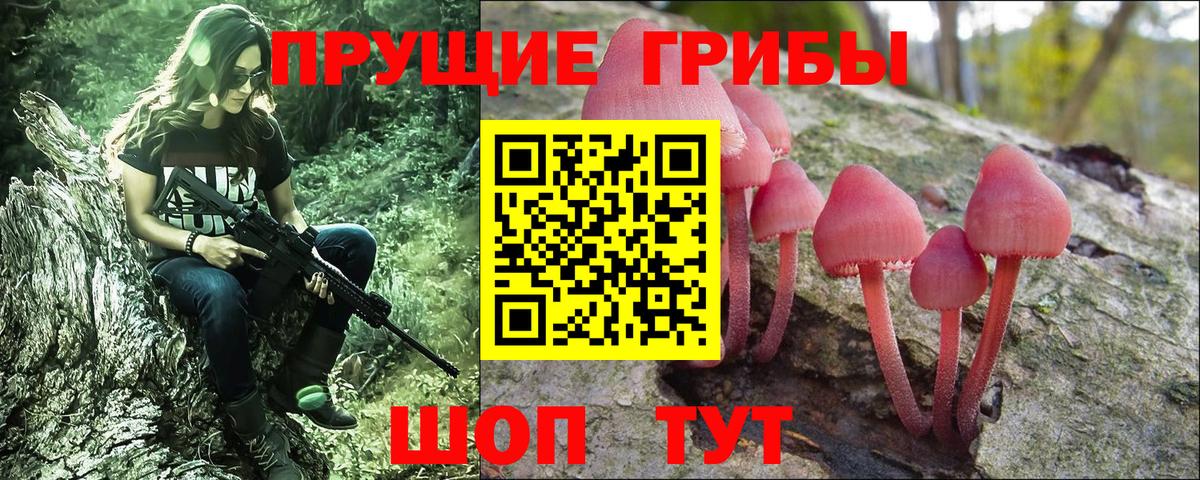 Коммунар  Псилоцибиновые грибы GOLDEN TEACHER  Вход с VPN 