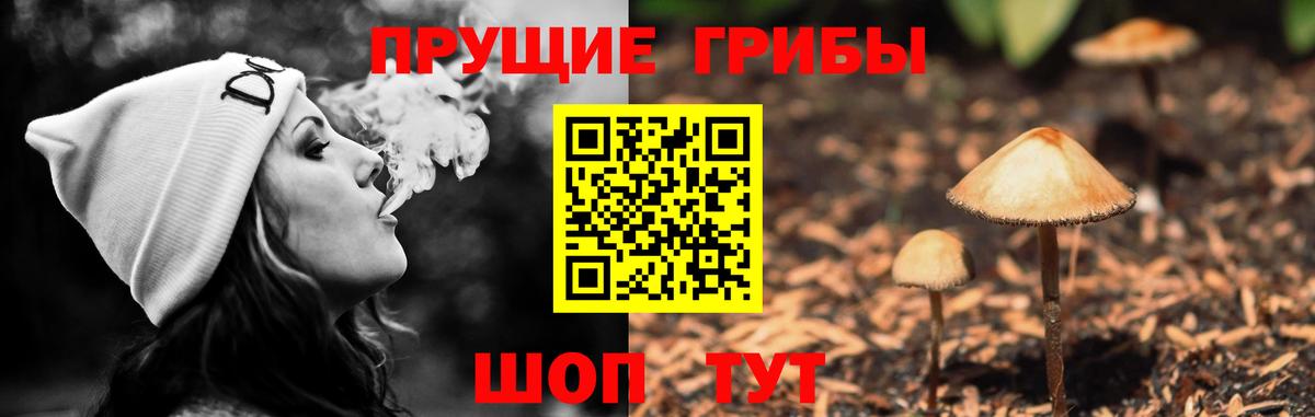 Псилоцибиновые грибы прущие грибы Коммунар